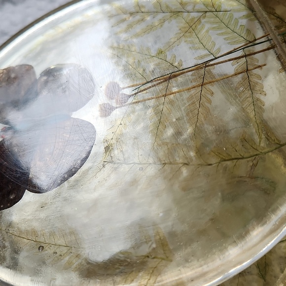 Vintage 70s Lucite Butterfly & Dried Plants Napkin Mail Paper Holder - Picture 6 of 8
